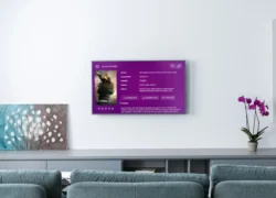 TV Express mudou! Ritmo TV é bom? Vale a pena? Como funciona? kvWLblnGl_11zon