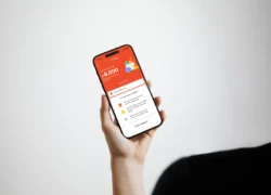 8ce2c0c4a9b_11zon-scaled